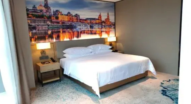 Люкс Deluxe Vienna International Hotel (West Square Of Chengdu East Railway Station)
