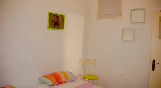 Cats House