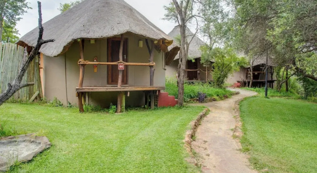 Шале Standard Warthogs Bush Lodge