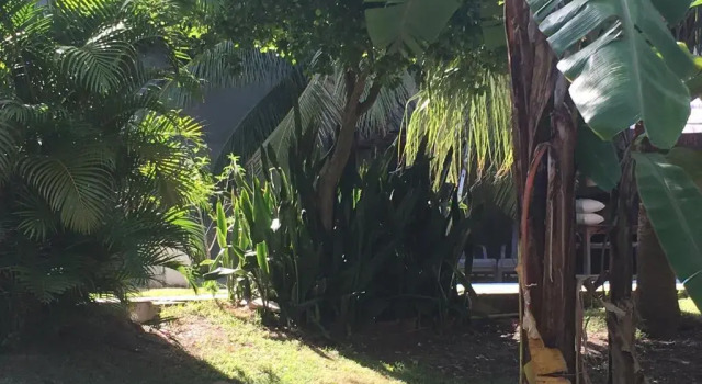 Люкс Aldeia de Geribá - Jardim, piscina e praia