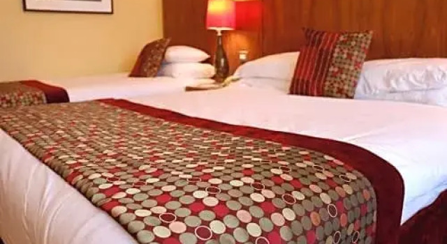 Одноместный номер Standard The Rose Hotel