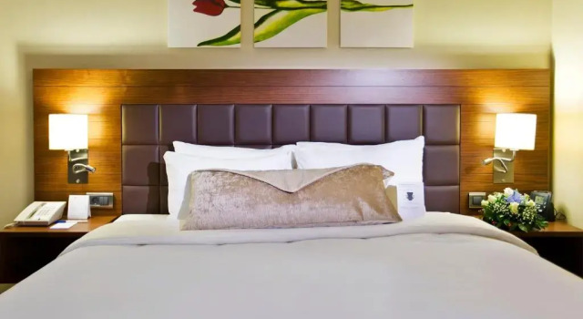 Двухместный номер Standard Hilton Garden Inn Kutahya