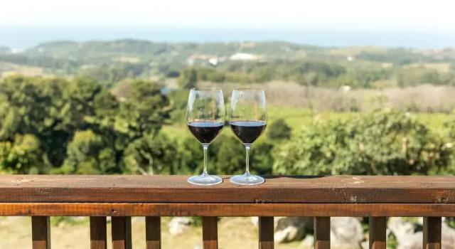 Вилла Villa Dore Self-Catering