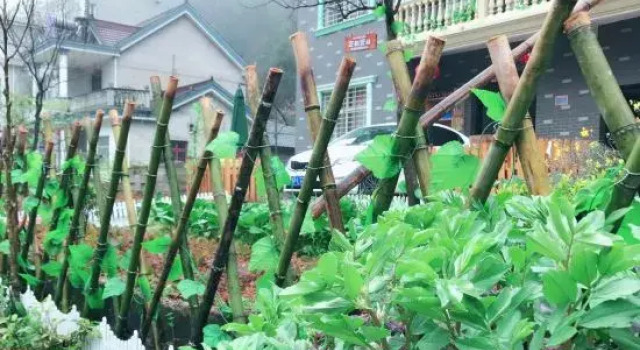 Ningguo Bamboo Sea Gushi Farm Stay, Foglalás Farmház Xuancheng Anhuj
