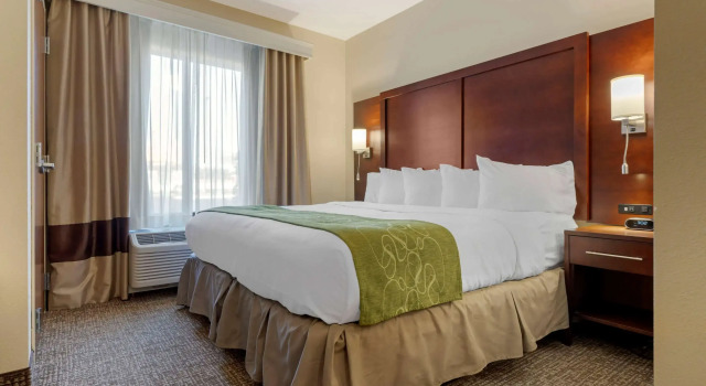 Двухместный люкс Comfort Suites Piedmont - Greenville South