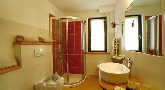Номер Standard Hotel Boton DOr & Wellness a La Thuile