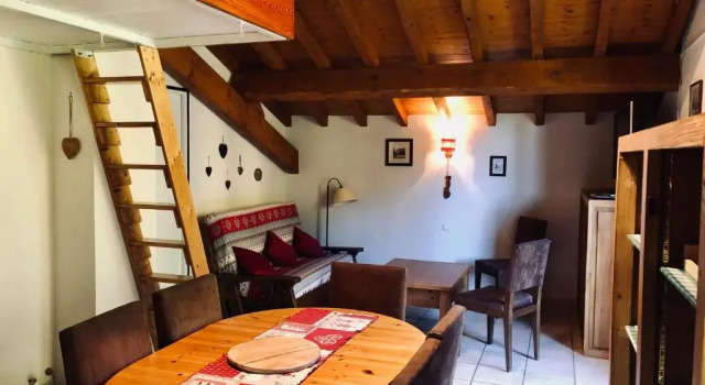 Апартаменты Chalet Rivière du Bon Nant Location de 6 à 14 personnes en Haute Savoie