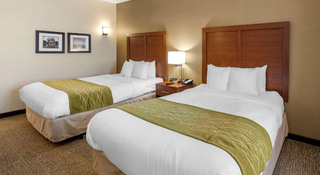 Четырёхместный номер Standard THE ATRIUM HOTEL SFO AIRPORT