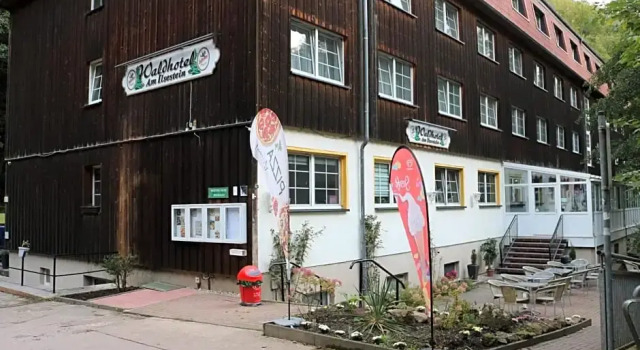 Номер Standard Waldhotel am Ilsestein
