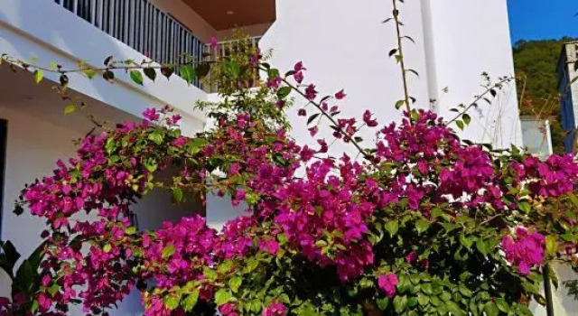 Xihai Yanshan Homestay
