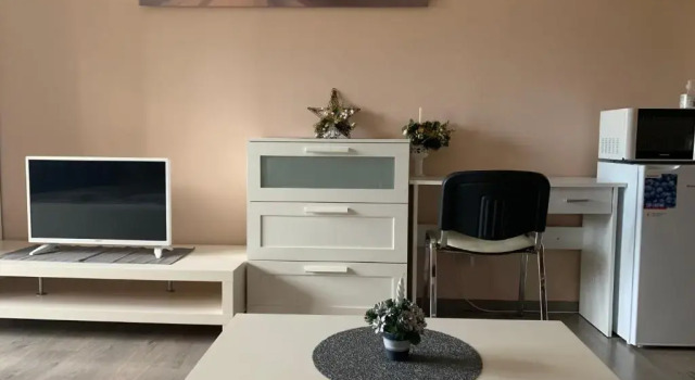 Студия Nepliget Apartment