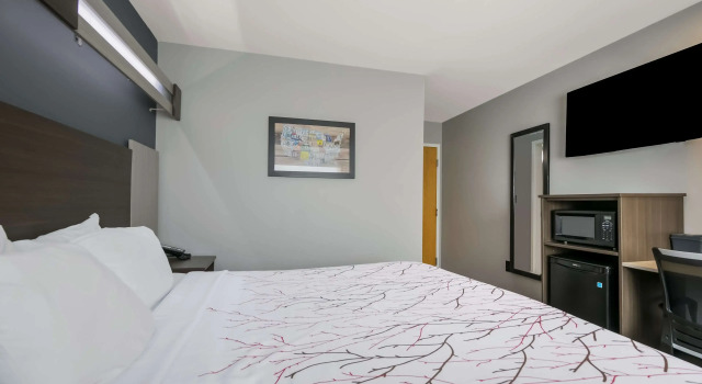 Двухместный номер Standard SureStay Plus Hotel by Best Western Sevierville