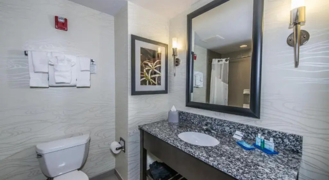 Четырёхместный номер Standard Holiday Inn Express & Suites Charleston Arpt-Conv Ctr Area by IHG