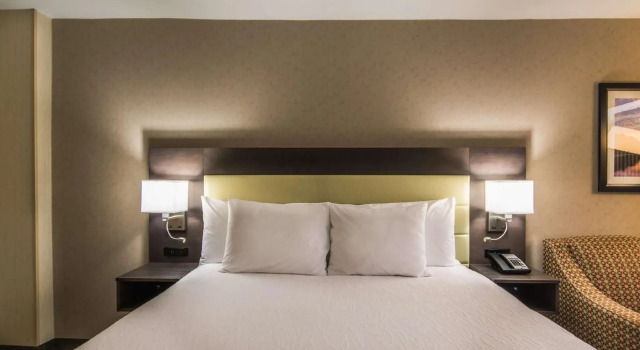 Двухместный номер Standard Hilton Garden Inn Reagan National Airport
