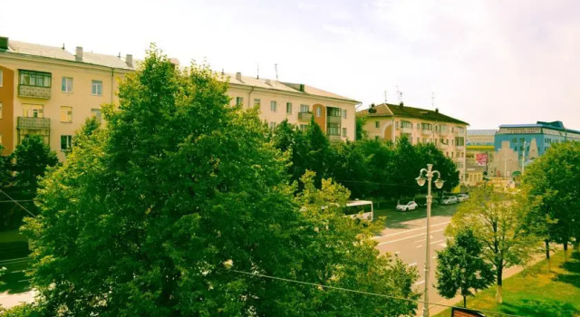 Apartment on Sovetskiy