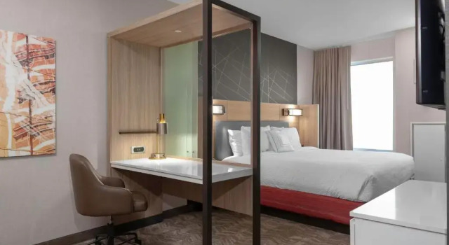 Люкс SpringHill Suites by Marriott Denver Tech Center