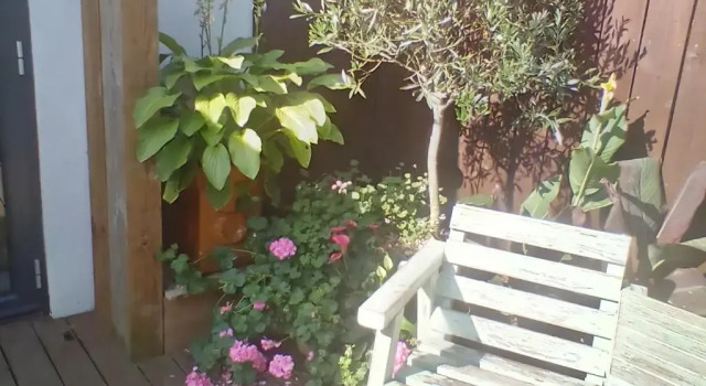 Люкс Deluxe Pinetree Lodge Druridge Bay