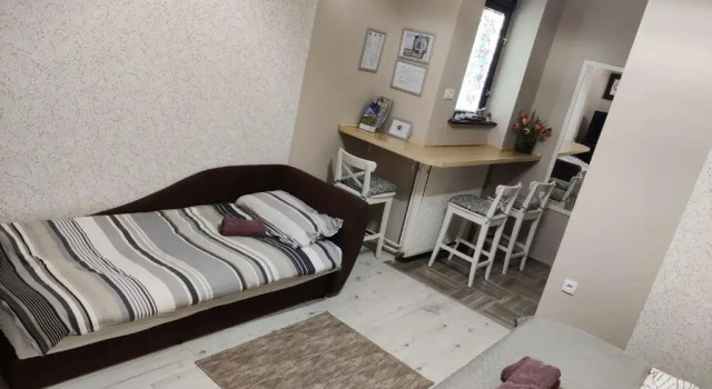 Студия Apartments Borovo