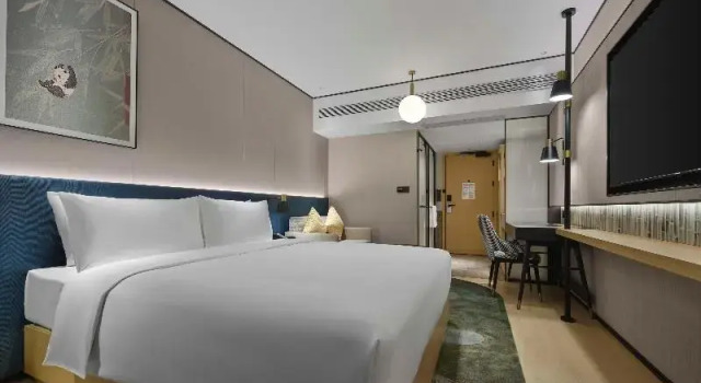 Люкс Deluxe Hilton Garden Inn Chengdu Tianfu Panda Tower