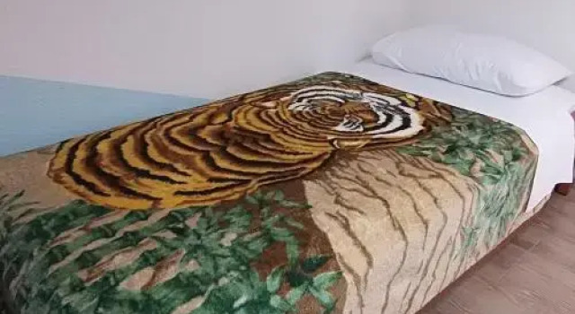 Apartment Cajt