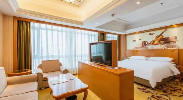 Люкс Superior Vienna Hotel (Cangzhou Yanbai)