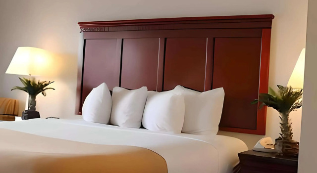 Rodeway Inn Santa Clara El Camino Real