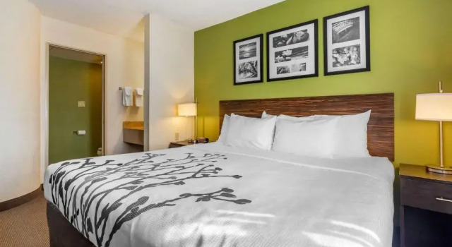 Номер Standard Sleep Inn I-95 North Savannah
