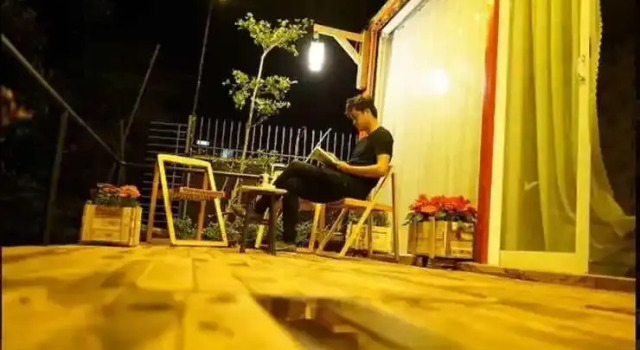 Beezone Hostel