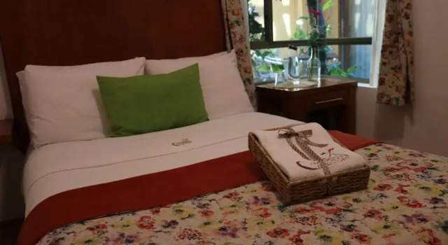 Номер Classic Suites del Carmen - Bruselas
