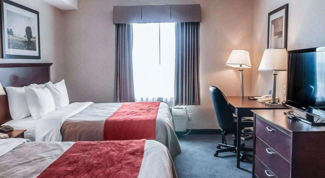 Четырёхместный номер Standard Comfort Inn