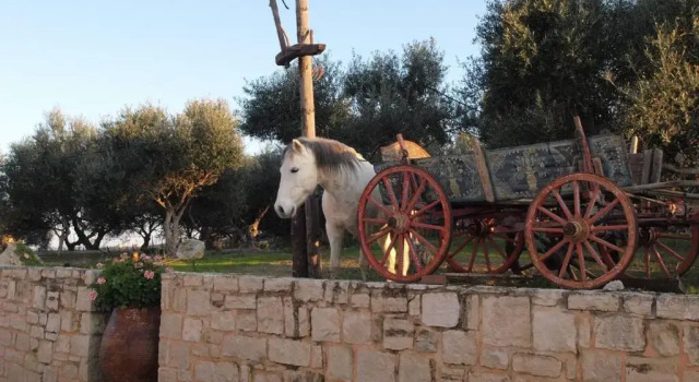 Вилла с 3 комнатами Grecian Villas Chania