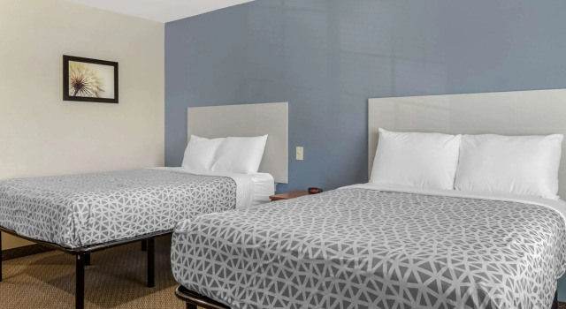 Четырёхместный номер Standard WoodSpring Suites Raleigh Garner