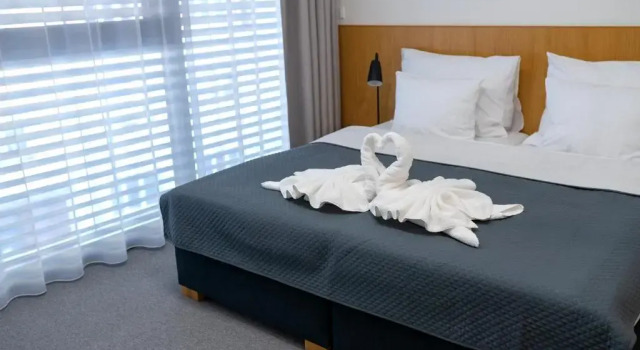 Двухместный номер Standard Hotel Smetanova