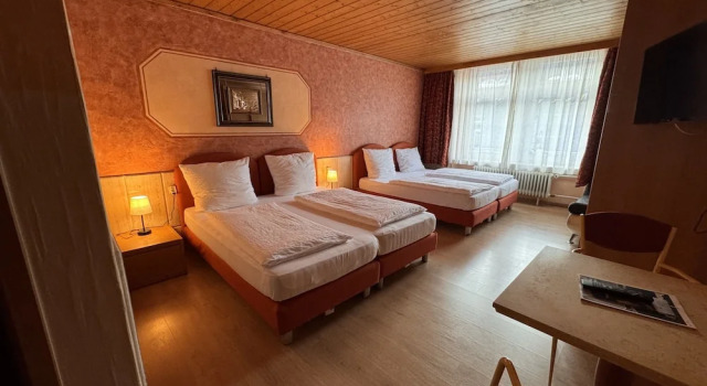 Четырёхместный номер Economy с видом на город Hotel Black Forest