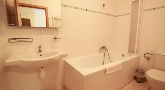 Номер Standard CORNER HOTEL U DIVADLA*** - ZNOJMO