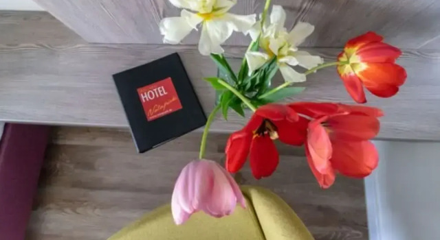 Одноместный номер Classic Hotel Volapük