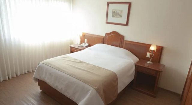Полулюкс Hotel Polanco