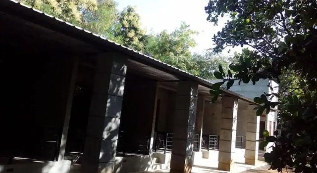 The Saliyawewa Cabins