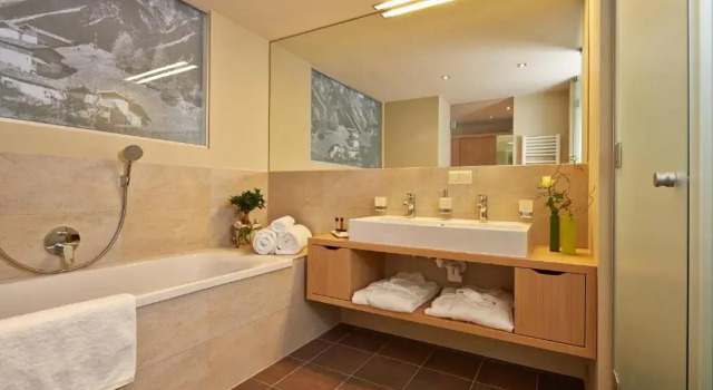 Полулюкс Alpeiner - Nature Resort Tirol