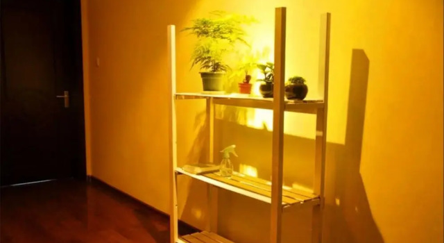 Taiyuan Sunflower Youth Hostel, Buchen Sie Hostel Hostels in Shanxi, Hostel