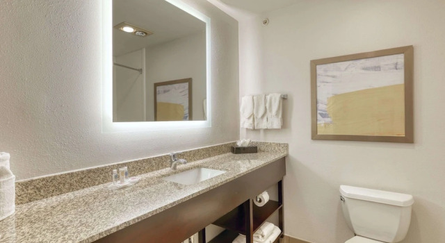 Четырёхместный номер Standard с видом на бассейн Comfort Suites Milwaukee Airport