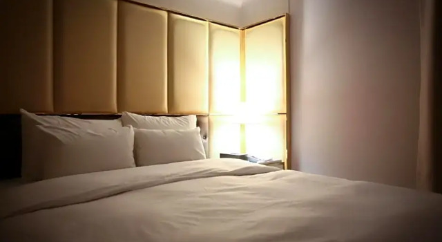 Номер Deluxe Hotel Star Premier Yeoksam