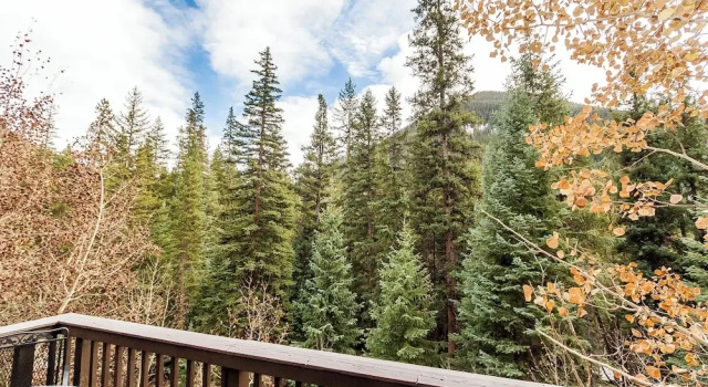 Trapper's Crossing #8773 : 2, 预订 公寓 基斯通 Roosevelt National Forest