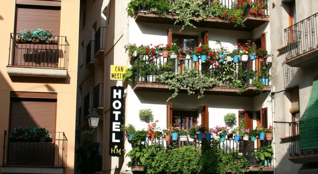 Hotel Can Mestre, Book Hotel Hoteller i Pla de l'Ermita med morgenmad, Morgenmad