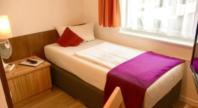 Одноместный номер Standard Hotel Triton