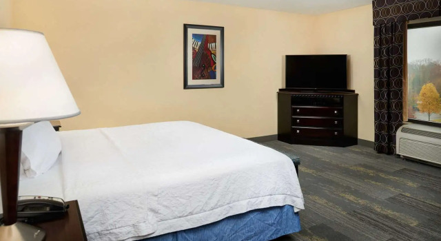 Номер Standard Hampton Inn & Suites Mount Juliet