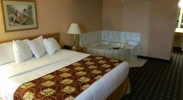 Люкс Grand New Prague Inn & Suites, New Prauge