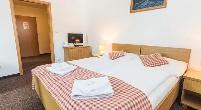 Двухместный номер Standard Hotel Seifert