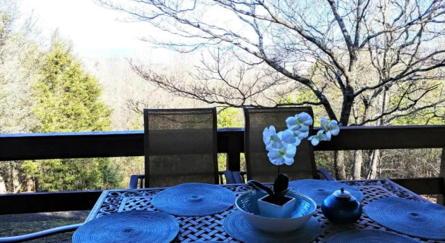 Mountain Views #578