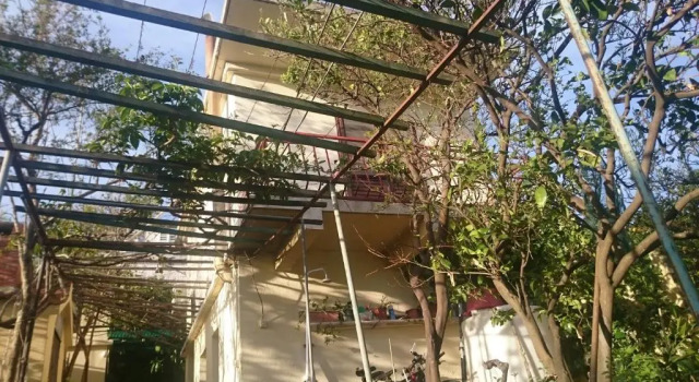 Apartments Petković